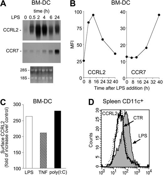 Figure 1. Induction of CCRL2 in maturing DCs. DCs were generated in vitro from CD34+ bone marrow precursors. (A) Total RNA was purified from immature DC (0 hours) or DC treated for different times with 100 ng/mL LPS and analyzed by Northern blot. Ethidium bromide staining is shown. (B) Kinetics of CCRL2 and CCR7 membrane expression in DC stimulated with 100 ng/mL LPS. The graphs show the mean fluorescence intensity (MFI) of cells labeled with CCRL2 and CCR7 mAbs. (C) FACS analysis of DCs treated with 100 ng/mL LPS, 20 ng/mL TNFα, or 25 μg/mL poly (I:C) for 12 hours. Data are expressed as folds of increase of CCRL2 labeling over vehicle-treated DC. (D) CCRL2 expression in spleen CD11c+ DCs isolated 6 hours after intravenous injection of 25 μg/mouse of LPS. Histograms represent CCRL2 expression in WT (dotted line) and CCRL2−/− mice (solid lines). Data are representative of 2-4 separate experiments.