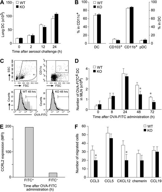 Figure 4. Role of CCRL2 in lung DC trafficking. (A) Lung tissue and trachea were isolated from sensitized mice after one OVA-aerosol challenge. DCs were quantified by FACS analysis. Results are expressed as total number of DCs per mouse (mean ± SEM, n = 3; 6 mice/group). (B) The percentage of CD11c+/low autofluorescent DCs in total lung CD11c+ cells and DC subsets (CD103+, CD11b+, and Siglec H+/PDCA1+ pDCs) are presented. (C-D) OVA-sensitized mice received intratracheally 800 μg of OVA-FITC. (C) Representative analysis of WT and CCRL2−/− mediastinal lymph node cells obtained 48 hours after FITC-OVA administration. (D) Kinetics of FITC+ DCs in lymph nodes. Data are mean ± SEM, n = 3; 12-15 mice/group. *P < .05. (E) Surface expression of CCRL2 in lymph node FITC+ and FITC− WT DCs after OVA-FITC administration (n = 2; 4 mice/group). (F) Chemotaxis of bone marrow–derived DCs. One experiment representative of 6, each one performed with independent DC cultures. Results are at the net of basal migration (10 ± 3 and 8 ± 2 cells for WT and KO cells, respectively. *P < .05).