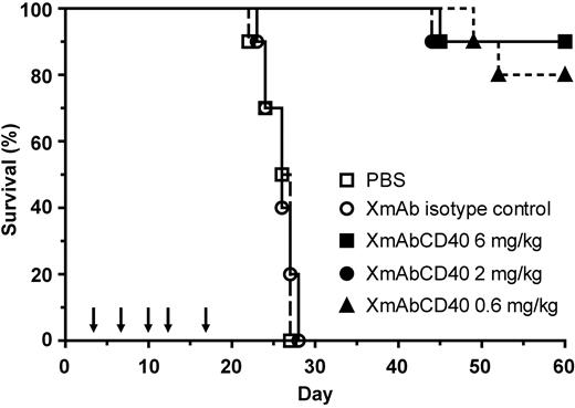 Figure 5. XmAbCD40 improves survival of mice bearing disseminated Ramos lymphoma. Ramos cells (5 × 106) were injected intravenously into SCID mice. Starting 3 days later, 0.6, 2, or 6 mg/kg XmAbCD40, XmAb isotype control, or vehicle (PBS) was administered intraperitoneally twice per week for a total of 5 injections, as indicated by arrows (n = 10/group). XmAbCD40 significantly enhances survival at all doses relative to both vehicle and isotype controls (P < .0001); 80% of the 0.6-mg/kg group and 90% of the 2-mg/kg and 6-mg/kg groups continued to survive at study end (day 60), whereas all the control mice had died by day 28.