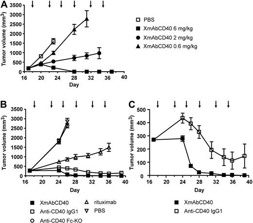 Figure 6. XmAbCD40 inhibits growth of established large Ramos tumors. Ramos cells (2.5 × 106) were injected subcutaneously into SCID mice. Starting on day 17 after tumor cell injection, mice bearing large tumors (200-350 mm3) were injected intraperitoneally with vehicle (PBS) or antibodies twice per week for 3 weeks, as indicated by arrows. (A) Dose-response study showing effects of XmAbCD40 at 0.6, 2, or 6 mg/kg (n = 10/group). A dose-dependent antitumor effect is evident (day 28 MTV = 2225, 723, and 0 mm3 for 0.6, 2, and 6 mg/kg, respectively; P = .0007 for 0.6 vs 2 mg/kg and P = .0004 for 2 vs 6 mg/kg), with complete tumor regression occurring in 80% of mice treated with the highest dose. (B) Study comparing antitumor activity of XmAbCD40 with anti-CD40 IgG1, rituximab, and the anti-CD40 Fc-KO, all at 6 mg/kg (n = 15/group). XmAbCD40 dramatically inhibits tumor growth compared with vehicle (day 26 MTV = 70 mm3 vs 2849 mm3, P = .000076) and is significantly more effective than rituximab (day 36 MTV = 3 mm3 vs 1500 mm3, P = .000076). By day 36, 67% of the XmAbCD40-treated mice became completely tumor-free (vs none of the rituximab-treated mice); and by day 39, 100% were tumor-free. The IgG1 analog also shows potent antitumor activity but is significantly less effective than XmAbCD40 at all but the last 2 time points (P ≤ .007 for days 24-34). The anti-CD40 Fc-KO shows no antitumor activity, indicating the importance of FcγR engagement. (C) The y-axis magnification of panel B illustrates the difference between the anti-CD40 IgG1 and XmAbCD40 responses and demonstrates the improved efficacy of XmAbCD40 mediated by increased affinity to FcγRs. Data are mean ± SEM.