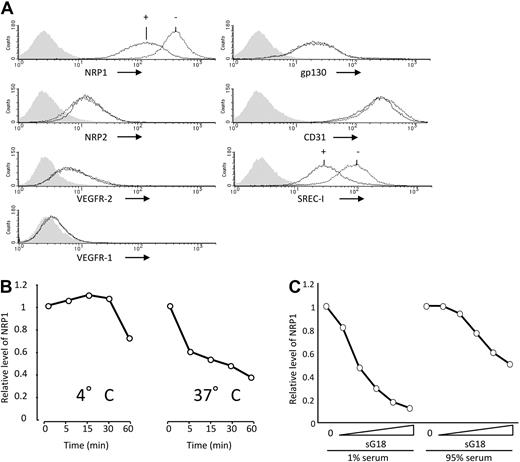 Figure 2. Selective reduction of NRP1 by G18 is temperature-dependent. (A) Effects of G18 on levels of cell-surface NRP1, NRP2, VEGFR-2, VEGFR1, gp130, CD31, and SREC-I detected by flow cytometry. HUVECs were incubated at 37°C for 1 hour with or without G18 (16 μg/mL). Shaded graphs reflect control staining. (B) Temperature- and time-dependent reduction of cell-surface NRP1 by G18. HUVECs were incubated with G18 (16 μg/mL) at 4° or 37°C for 5, 15, 30, and 60 minutes. The results reflect the relative mean fluorescence intensities of NRP1 under the conditions of testing. (C) Levels of cell-surface NRP1 detected by flow cytometry on HUVECs incubated with sG18 (0, 1, 2, 4, 8, or 16 μg/mL) in the presence of 1% FBS or with sG18 (0, 4, 8, 16, 32, or 64 μg/mL) in the presence of 95% FBS.