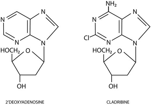 Figure 1. Molecular structures of 2′-deoxyadenosine and cladribine. Cladribine has a chlorine atom substituted at the 2-position of the purine ring. (Illustration by Katya Kadyshevskaya.)