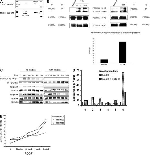 Figure 2. PDGFR activated by CLL-CM is upstream of Akt activation and is important for CLL-CM–driven MSC proliferation. (A) RTK array analysis of CLL MSC stimulated by CLL-CM for 30 minutes. The results are representative of more than 3 independent experiments. (B) PDGFRα and PDGFRβ phosphorylation were confirmed by immunoprecipitation of the CM-stimulated MSC lysates (incubation time, 30 minutes) with anti-PDGFRα or anti-PDGFRβ, followed by immunoblot analysis with antiphosphotyrosine antibody. After stripping the membrane, the upper 190-kDa protein coprecipitated with PDGFRα was confirmed to be PDGFRβ. The 170-kDa protein coprecipitated with PDGFRβ was found to be PDGFRα. The density of PDGFRβ phosphorylation and total protein expression was measured by densitometry analysis, and relative density was calculated by calculating the ratio of PDGFRβ phosphorylation to its total protein expression. The bar graph demonstrated the increased PDGFRβ phosphorylation when MSCs were exposed to CLL-CM. The results are representative of independent experiments (n = 3). CM, conditioned medium; pY, anti-phosphotyrosine antibody. (C) Both PDGFRα and Akt in CLL MSCs were phosphorylated by CLL-CM within 10 minutes of exposure. PDGFR tyrosine kinase inhibitor III (2μM) was able to block both PDGFRα and Akt phosphorylation. pAKT, phosphorylated AKT; pERK, phosphorylated ERK. Two gels performed from one immunoprecipitation experiment were run and shown. Individual gels are shown in separate rectangle. (D) PDGFR inhibitor was able to partially block the proliferative effect of CLL-CM on MSCs. Six different CLL MSC sources were used in this experiment. (E) MSC proliferation increased in a dose-dependent manner to escalating doses of PDGF. Three different CLL MSCs were used in this experiment.