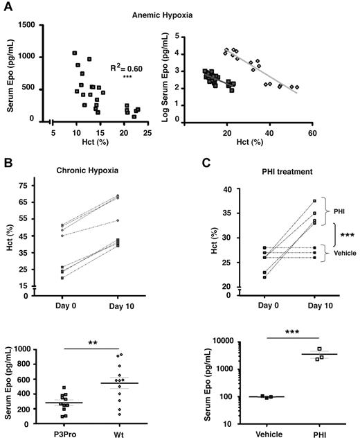 Figure 4. Acute and chronic hypoxia triggers erythropoietic responses in P3Pro mutants. (A) In P3Pro mutant mice a linear decline in the Hct value is associated with an exponential increase in serum Epo levels in response to acute anemic hypoxia (R2 = 0.60, P < .0001). Linear regression analysis showed no statistically significant difference between slopes of increase in P3Pro mutants and control mice. Serum Epo levels were measured 24 hours after phlebotomy. (B) Exposure of P3Pro mutant mice to chronic normobaric hypoxia (10% O2 for 10 days) increases Hct values. (Bottom) The serum Epo levels shown in P3Pro mutant (n = 11) and in control mice (n = 12), were measured after 10 days of hypoxia. (C) Prolyl-4-hydroxylase inhibition with GSK1002083A raises Hct values and serum Epo levels in P3Pro mutants. Shown are Hct values before treatment (day 0) and after 10 days of treatment (day 10). Serum Epo levels in P3Pro mutants were measured 4 hours after administration of 2 doses (n = 3). Vehicle indicates treatment with 1% methylcellulose without compound; PHI, treatment with PHD inhibitor GSK 1002083A. **P < .01, ***P < .001.
