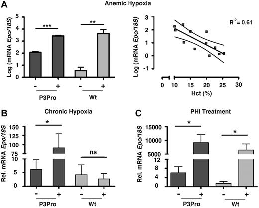 Figure 6. Hypoxia and PHD inhibition stimulate hepatic Epo production in P3Pro mutants. Shown are Epo mRNA levels in livers from P3Pro mutants and wild-type (Wt) littermate controls. (A) Exposure to acute anemic hypoxia induced by phlebotomy (log scale; measurements 24 hours after phlebotomy). Shown also is a statistically significant association between the linear decline in Hct value and the exponential increase in hepatic Epo mRNA levels in P3Pro mutants (right; R2 = 0.61, P < .01). (B) Exposure to chronic normobaric hypoxia (10% O2 for 10 days). (C) Oral administration of PHD inhibitor GSK1002083A (PHI) for 2 days. Wt refers to Cre-negative littermates. *P < .05, **P < .01, ***P < .001; ns, not statistically significant.