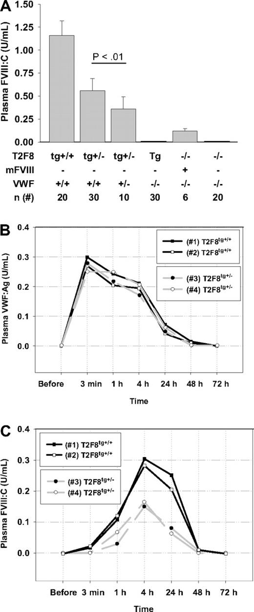 Figure 4. The effect of VWF on plasma FVIII. (A) The level of FVIII:C is significantly decreased in T2F8tg+/−VWF+/− mice (P < .01) and was undetectable in T2F8TgVWF−/− mice. Approximately 10% of normal murine FVIII:C persisted in the plasma of VWF−/− mice. (B) Murine plasma-derived VWF was infused into T2F8TgVWF−/− mice to restore VWF levels to approximately 25% of normal. (C) Endothelial cell–derived plasma FVIII was rescued by the infused VWF. These results demonstrate that survival of endothelial cell–derived plasma hFVIII is VWF-dependent.
