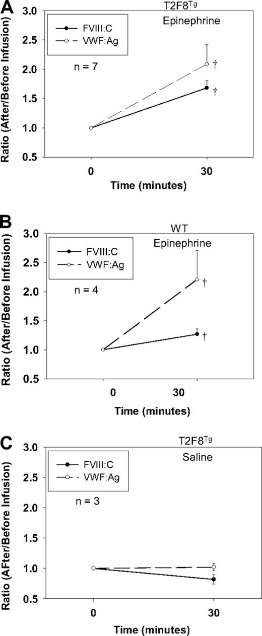 Figure 5. Epinephrine releases FVIII. (A) Epinephrine releases FVIII and VWF from T2F8 transgenic mice. Epinephrine was administrated to animals and plasma samples were collected before and 30 minutes after infusion for FVIII:C and VWF:Ag assays. The levels of both FVIII and VWF significantly increased after epinephrine infusion in T2F8Tg mice; †P < .05. (B) Epinephrine releases endogenous mouse FVIII and VWF from WT mice. The levels of both FVIII and VWF significantly increased after epinephrine infusion in WT mice; †P < .05. (C) Saline administration control in T2F8Tg mice. There was no significant difference in the levels of either FVIII or VWF before versus after saline administration. These studies demonstrated that targeting FVIII to endothelial cells establishes a releasable pool of FVIII together with VWF.