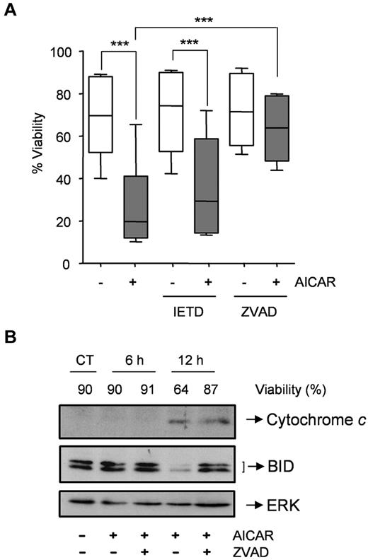 Figure 2. AICAR induces apoptosis through the mitochondrial pathway in CLL cells. (A) Cells were preincubated without (−) or with 50μM IETD.fmk or 200μM Z-VAD.fmk for 30 minutes, and 0.5mM AICAR (+) was added for 24 hours. Viability was measured by flow cytometry, and it is expressed as the percentage of the viability. The top line represents the 75% quartile, and the bottom line represents the 25% quartile, with the middle line showing the median. The ends of the whiskers represent the minimum and maximum of all the data (n = 6). ***P < .005, AICAR-treated versus untreated or versus Z-VAD.fmk + AICAR, or IETD + AICAR versus IETD-treated cells. (B) Cells were preincubated without (CT) or with 200μM Z-VAD.fmk for 30 minutes, and 0.5mM AICAR was added for 6 and 12 hours. Control extracts were obtained at 12 hours. Cytochrome c and BID were analyzed in cytosolic extracts by Western blot, and viability was measured by flow cytometry. ERK was used as a control of protein loading. A representative sample is shown (n = 2).