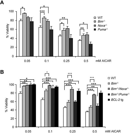 Figure 7. B lymphocytes from Noxa−/−/Bim−/− mice resisted induction of apoptosis by AICAR. (A) B cells from WT, Bim−/−, Noxa−/−, and Puma−/− and (B) B cells from WT, Bim−/−, Bim−/−/Noxa−/−, Bim−/−/Puma−/−, and vav-BCL2 transgenic (BCL-2 tg) mouse spleen were incubated for 12 hours with AICAR in a range of concentrations (0.05, 0.1, 0.25, and 0.5mM). Viability was measured by flow cytometry, and it is expressed as the percentage of the viability of untreated cells. Data are mean ± SEM from 3 to 6 independent experiments for each genotype. ***P < .005, **P < .01, *P < .05, mutant versus WT B lymphocytes. +++P < .005, +P < .05, mutant versus Bim−/− B lymphocytes.