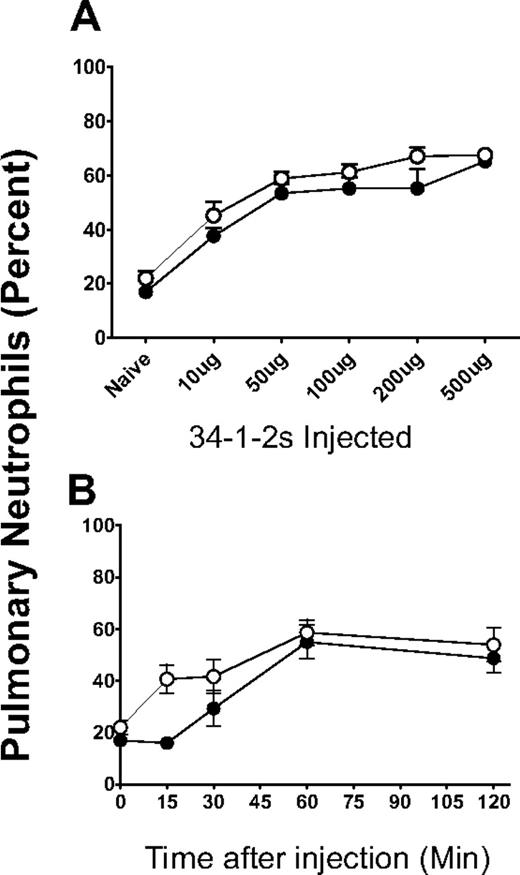 Figure 3. 34-1-2s induced a concentration-dependent pulmonary neutrophil accumulation. (A) BALB/c mice (●, N > 5) or SCID mice (○, N > 5) were injected with the indicated does of 34-1-2s mAb; and at 2 hours after injection, the mice were killed and their lungs were homogenized and the cells were loaded on to microslides by a cytospin and stained with hematoxylin and eosin. (B) BALB/c mice (●, N > 5) or SCID mice (○, N > 5) were injected with a 2.3-mg/kg dose of 34-1-2s mAb (determined from panel A; 50 μg); and at the indicated times, the mice were killed and their lungs were homogenized and the cells were loaded on to microslides by a cytospin and stained with hematoxylin and eosin. Data in both panels are percentage neutrophils counted within total nucleated cells.