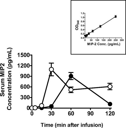 Figure 4. 34-1-2s induces a quicker serum MIP-2 response in SCID mice. BALB/c mice (●, N = 5) or SCID mice (○, N = 5) were injected with 2.3 mg/kg 34-1-2s mAb, and MIP-2 levels were measured in the sera of the mice at the indicated times by commercial ELISA. Data are mean ± SEM MIP-2 concentration from 5 mice in each group. (Inset) MIP-2 standard curve.