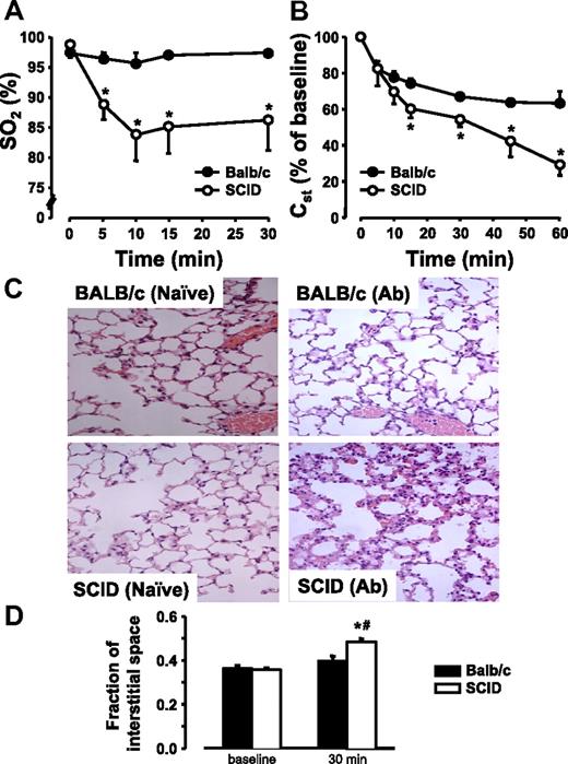 Figure 6. 34-1-2s causes significant lung damage in SCID mice. BALB/c mice (●, N = 5) or SCID mice (○, N = 5) were injected with 2.3 mg/kg 34-1-2s mAb and (A) SO2 levels, and (B) Cst were determined at the indicated time points. Histologic micrographs (C; original magnification ×40, see “Lung histology”) reveal moderate leukocyte infiltration in BALB/c mice but marked cellular infiltration and septal thickening in SCID mice 2 hours after infusion of 34-1-2s mAb (500 μg). Interstitial space fraction (D) as a quantitative measure of septal thickening was determined intravital microscopic recordings in BALB/C and SCID mice at baseline and 30 minutes after infusion of 34-1-2s mAb (50 μg). Representative dark-field images are given in supplemental Figure 2.