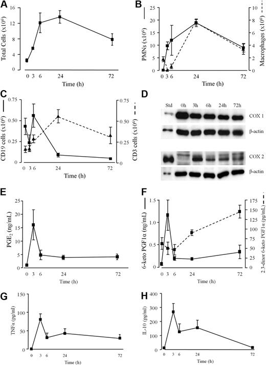 Figure 1. Characterization of infectious peritonitis. Injecting GBS intraperitoneally to WT mice triggers an immediate (A) leukocytes infiltrate comprising (B) GR1-positive polymorphonuclear leukocytes (PMNs) and F4/80-positive macrophages as well as (C) CD3-positive T and CD19-positive B cells. Total peritoneal leukocytes were prepared for (D) COX1 and COX2 protein expression while (E) PGE2, (F) prostacyclin, measured as its stable metabolites 6-keto PGF1α and 2,3-dinor 6-keto PGF1α, (G) TNFα, and (H) IL-10 were determined in the cell-free inflammatory exudates. Values are expressed as the mean ± SEM of 5-12 mice/group.