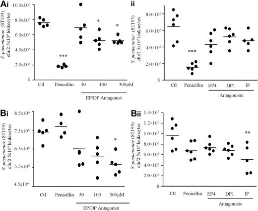 Figure 7. Inhibiting PG signaling primes human whole blood to kill antibiotic-resistant bacteria. Healthy human peripheral blood was pre-incubated with/without penicillin and a pan EP/DP PG receptor antagonist targeted against EP1, EP2, EP3-III, and DP1 receptors as well as against individual PG receptors including EP4, DP1, and IP. Whole blood was then stimulated with either (A) serum-opsonized penicillin-susceptible (ST193) or (B) intermediate penicillin-resistant (ST199) S pneumonia for 1 hour. After which time, numbers of surviving S pneumoniae (cfu) were quantified 24 hours later on agar plates. Data were analyzed by one-way ANOVA and Bonferroni multiple comparison test. * values represent P < .05, ** values P < .01, and *** values P < .001.