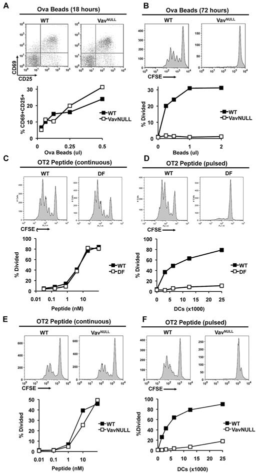 Figure 1. ITAM signaling is required for antigen presentation by DCs. WT and VavNULL DCs (50 000) were cultured with the indicated doses of OVA-coated latex beads and purified OT2 T cells. T cells were analyzed for expression of the activation markers CD69 and CD25 by FACS after 18 hours of stimulation (A), or analyzed for proliferation by CFSE dye dilution after 72 hours of stimulation (B). (C) WT and DF DCs (50 000) were cultured with the indicated doses of OVA peptide (continuous peptide) and purified CFSE-labeled OT2 T cells. Proliferation was determined by FACS for CFSE dye dilution on day 3 of culture. (D) Alternatively, WT and DF DCs were pulsed with a saturating dose of OVA peptide (100nM) for 2 hours and washed thoroughly (pulsed peptide). Subsequently, the indicated numbers of pulsed DCs were cultured with OT2 T cells for analysis of T-cell proliferation. Similarly, WT and VavNULL DCs were cultured with continuous peptide (E) or pulsed peptide (F) and analyzed for their ability to induce OT2 T-cell proliferation as described above. Data shown are representative of at least 5 independent experiments.