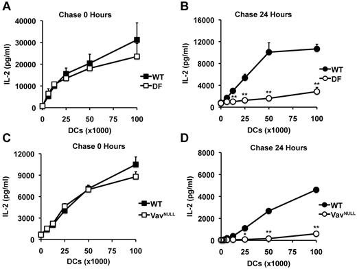 Figure 2. ITAM signaling is required for maintaining peptide-MHCII complexes on the surface of DCs. To assess the presence of pMHCII complexes on the surface of DCs, we used the B11 T-cell hybridoma specific for β-gal peptide presented by I-Ab. In these experiments, WT and DF DCs were pulsed with a saturating dose of peptide (10μM), washed, and immediately fixed (A) or chased for 24 hours before fixation (B). After fixation, DCs were cultured overnight with B11 cells, after which point, culture supernatants were analyzed for IL-2 by enzyme-linked immunosorbent assay. Similarly, WT and VavNULL DCs were pulsed with peptide and immediately fixed (C) or chased for 24 hours before fixation (D) and then used to stimulate B11 cells as described above. Data represent mean IL-2 production ± SD for triplicate samples and are representative of 5 independent experiments; *P < .05, **P < .01.
