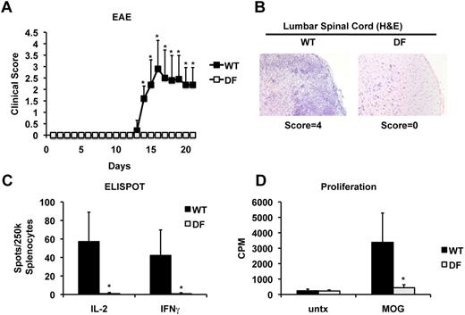 Figure 4. Disruption of ITAM signaling is protective in EAE and inhibits autoreactive T-cell priming. (A) Mice were immunized with MOG35-55 peptide and pertussis toxin to induce disease. During the course of disease, mice were assigned a clinical score with grade 1, tail weakness; grade 2, hind limb weakness sufficient to impair righting; grade 3, one limb plegic; grade 4, hind limb paralysis; grade 5, moribund. Data are expressed as mean clinical score ± SD for n ≥ 5 mice per group. After the peak of disease (3 weeks), spinal chords were harvested and stained with hematoxylin and eosin (B). In addition, spleens were recovered and restimulated in vitro with MOG peptide to determine autoreactive T-cell frequencies by ELISPOT (C) and proliferation by thymidine incorporation (D). Data represent the mean ± SD for n ≥ 5 mice per group; *P < .05.
