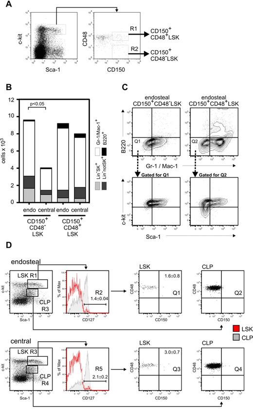 Figure 2. Central CD150+CD48−LSK show significantly decreased proliferative potential. (A) Endosteal and central BM was sorted for CD150+CD48+LSK (R1) and CD150+CD48−LSK (R2). Fifty cells were cultured in each of 5 wells in serum-free medium supplemented with SCF, IL-6, IL-11, and FL for 6 days and analyzed for total cell number and expression of Sca-1, c-kit, B220, Gr-1, and Mac-1. (B) Number of progeny with Sca-1+c-kit+Lin−, Sca-1−c-kit−Lin−, B220+, and Gr-1/Mac-1+ phenotypes after 6 days. Lin− is defined as Q1/Q2 (C). Bars represent average of 3 experiments. (C) Representative flow cytometric analysis of cultures. Bottom dot plots are gated for Q1 or Q2, respectively, to exclude Gr-1/Mac-1 and B220 expressing cells. (D) Representative flow cytometric analysis of CD127, CD150, and CD48 expression on endosteal and central LSK and common lymphoid progenitors (CLP). Data are mean ± SEM of 2 experiments.