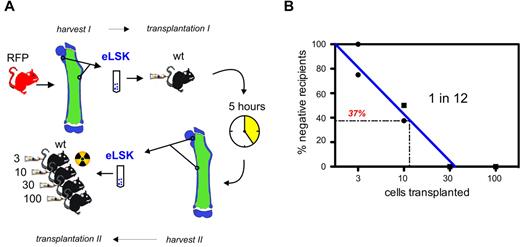 Figure 4. Functional selection of HSCs. (A) RFP+ endosteal LSK were transplanted into 1 nonablated recipient. After 5 hours, LSK homed to endosteal BM were reisolated and transplanted into ablated secondary recipients in a limiting dilution assay. (B) Limiting dilution analysis of 2 experiments. Each symbol represents a group of mice transplanted with 3, 10, 30, or 100 cells.