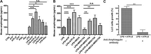 Figure 2. Mouse AREG is released by BMDCs. (A) AREG release by murine BMDCs. BMDCs were stimulated by ATP (300μM), ATPγS (100μM), UTP (100μM), PGE2 (500nM), or Ado (10μM) in the absence or the presence of LPS (100 ng/mL) for 24 hours. Supernatants of treated DCs were collected for ELISA measurements of mouse AREG. Results represent the mean ± SEM of 6 independent experiments at least. The Student t test was performed using Prism 5.0 software (*P < .05; ***P < .001). (B) Effect of NECA and MRS1754 on AREG secretion by BMDCs. BMDCs were stimulated in the presence of LPS (100 ng/mL), by ATP (300μM), ATPγS (100μM), or NECA (1μM) in the absence or the presence of MRS1754 (4μM) for 24 hours. Supernatants of treated DCs were collected for ELISA measurements of mouse AREG. Results represent the mean ± SEM of at least 3 independent experiments. The Student t test was performed using Prism 5.0 software (**P < .01; ***P < .001; n.s., not significant). (C) LLC growth is increased by AREG secreted by BMDCs. BMDCs were stimulated by ATPγS (100μM) in presence of LPS (100 ng/mL) for 24 hours. Supernatants were treated or not with an anti–mouse AREG blocking antibody during 3 hours and incubated with LLC cells for 24 hours. LLC cells were then counted with hemocytometer. Data (mean ± SEM) are representative of 3 independent experiments. The Student t test was performed using Prism 5.0 software (**P < .01).