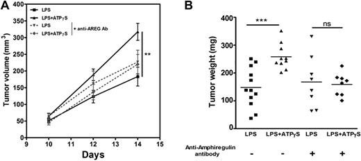 Figure 4. AREG secreted by BMDCs treated with ATPγS plus LPS promote LLC tumor growth. (A) Analysis of tumor volumes after coinjection of LLC cells and BMDC supernatants. BMDCs were treated with LPS or LPS+ATPγS during 24 hours, and their supernatants were incubated or not with an anti–mouse AREG blocking antibody for 3 hours. Tumor dimensions were measured at days 10, 12, and 14 after coinjection of LLC cells (5 × 105) and 100 μL of BMDC supernatants in C57BL/6 mice. Tumor volume was calculated using the standard formula: A × B2 × 0.52, where A is the longest diameter, and B is the shortest diameter. Results represent the mean ± SEM of 9 tumors at least for each condition. The Student t test was performed using Prism 5.0 software (**P < .01). (B) Effect of coinjection of LLC cells and BMDC supernatants on tumor weight. LLC tumor weight was measured at day 14 after coinjection of LLC (5 × 105) cells and BMDC supernatants. The Student t test was performed using Prism 5.0 software (***P < .001).