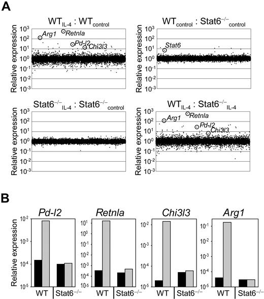 Figure 2. Stat6-regulated gene expression profile of macrophages. (A) RNA was isolated from F4/80+-sorted (purity 99%), untreated (control), or IL-4–treated (10 ng/mL) wild-type (WT) and Stat6−/− BMDM. Gene expression profile was performed on high-density oligonucleotide arrays (Affymetrix). (B) Quantitative RT-PCR analysis of selected genes that appeared differently expressed in untreated (black bars) or IL-4–treated (gray bars) WT and Stat6−/− BMDM based on the microarray experiment. Samples were normalized to β-actin expression. The microarray data have been deposited to the Gene Expression Omnibus database under the accession number GSE20030.