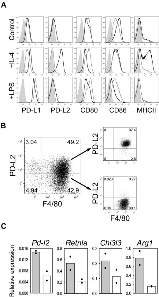 Figure 3. PD-L2 is the only B7 family member that is induced by IL-4 on BMDM in a Stat6-dependent manner. (A) BMDM from wild-type mice (black line) and Stat6−/− mice (gray line) were cultured in medium alone (control) or were activated for 24 hours with IL-4 (10 ng/mL) or LPS (1 μg/mL). The cells were double-stained for F4/80 and PD-L1, PD-L2, CD80, CD86, or MHC-II. Histograms are gated on F4/80+ macrophages. Filled histograms show isotype control staining. Data shown are representative of 3 independent experiments. (B) BMDM from WT mice were cultured for 6 hours with IL-4 and sorted into PD-L2+ and PD-L2− populations. (C) PD-L2 expression correlates with higher expression levels of the AAM markers Retnla, Chi3l3, and Arg1. RNA was isolated from PD-L2+ (solid bars) or PD-L2− (open bars) BMDM and analyzed by quantitative RT-PCR. The graphs show means of 2 independent experiments, normalized to β-actin expression.