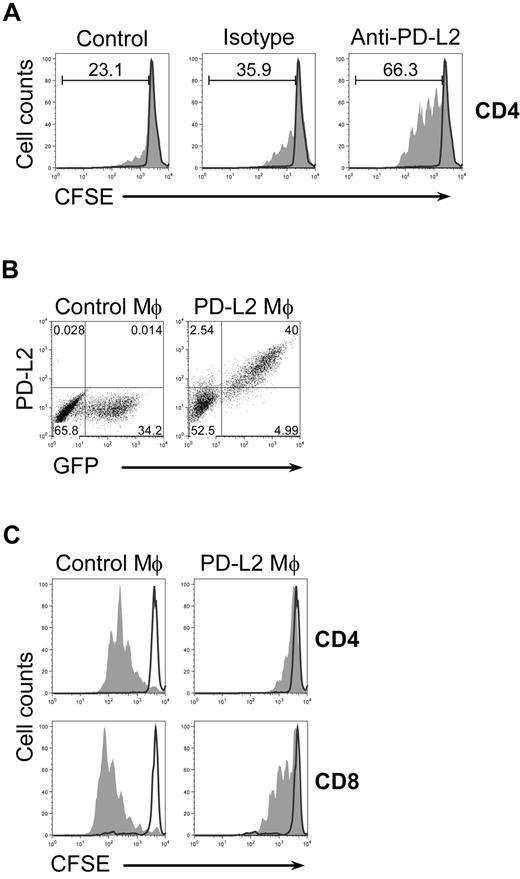 Figure 4. PD-L2 on AAM is required and sufficient to mediate inhibition. (A) Untreated (black line) or anti-TCR/anti-CD28 stimulated (filled) CFSE-labeled wild-type splenocytes were cultured with IL-4–treated (10 ng/mL) BMDM from wild-type mice in the absence (control) or presence of anti-PD-L2 (5 μg/mL) or isotype control (5 μg/mL) and analyzed after 4 days. Histograms are gated on CD4+ T cells. The experiment has been repeated with similar results. (B) BMDM from Stat6−/− mice were transduced with a bicistronic retroviral PD-L2/GFP expression vector (PD-L2 Mϕ) or empty GFP control vector (control Mϕ). Cells were stained for F4/80 and PD-L2. Dot plots are gated on F4/80+ cells. F4/80+GFP+ macrophages were sorted with > 94% purity. (C) CFSE-labeled wild-type splenocytes were left untreated (black line) or were stimulated with plate-bound anti-TCR/anti-CD28 (filled), cultured in the presence of GFP+-sorted macrophages and analyzed after 4 days. Histograms are gated on CD4+ or CD8+ cells as indicated. The data are representative of 3 independent experiments.