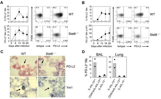 Figure 5. Analysis of PD-L2 expression on macrophages in vivo during N brasiliensis infection. Lung (A) and BAL (B) from wild-type (WT) and Stat6−/− mice were analyzed before or at indicated time points after N brasiliensis infection for PD-L2 expression by flow cytometry. Dot plots show staining of F4/80 and PD-L2 or isotype control on CD11c+ autofluorescencehi-gated cells at day 13 after N brasiliensis infection. Graphs show the frequency and absolute number of PD-L2+ macrophages in WT (filled circles) and Stat6−/− (open circles) mice as mean ± SE with 3 individual mice from 2 independent experiments. (C) Detection of Ym1 (blue) and PD-L2 (red) expression in alveolar macrophages (arrows) in the lung of WT but not Stat6−/− mice that had been infected with N brasiliensis 13 days before. Original magnification of the objective was ×40. (D) T-cell–derived IL-4/IL-13 is required for PD-L2 expression on AAM in vivo. Analysis of PD-L2 expression on macrophages in BAL and lung (F4/80+ CD11c+ autofluorescencehi) in complete IL-4/IL-13–deficient mice (IL-4/IL-13−/−), mice deficient of IL-4/IL-13 only in T cells (CD4Cre/IL-4/IL-13F/F), and control mice (IL-4/IL-13F/F) 13 days after N brasiliensis infection. Bars show the frequency of PD-L2+ macrophages as means of 2 mice (dots).