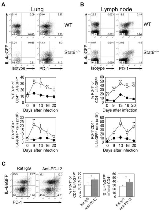 Figure 7. PD-1 expression on Th2 cells during N brasiliensis infection. Lung (A) and mesenteric lymph nodes (B) of 4get (WT) and 4get/Stat6−/− (Stat6−/−) mice were analyzed before or at indicated days after N brasiliensis infection. Dot plots are gated on CD4+ cells and show staining for PD-1 or isotype control versus expression of IL-4/eGFP at day 13 after N brasiliensis infection. The graphs show the frequency and absolute number of PD-1+ cells among Th2 cells (CD4+ IL-4/eGFP+ T cells) from WT (●) or Stat6−/− (○) mice as mean ± SE of 3 individual mice from 2 independent experiments (***P ≤ .001; **P ≤ .01; *P ≤ .05). (C) Effect of anti-PD-L2 mAb treatment during N brasiliensis infection on the Th2 response and PD-1 expression on T cells. Anti-PD-L2–treated or rat IgG-treated mice were analyzed at day 9 after infection. Dot plots are gated on CD4+ cells and show staining for PD-1 versus expression of IL-4/eGFP. Bar graphs show the frequency of PD-1+ cells among CD4+IL-4/eGFP+ cells (left) and the frequency of IL-4/eGFP+ cells among all CD4+ cells (right) as mean ± SE of 4 individual mice from 2 independent experiments (*P ≤ .05).