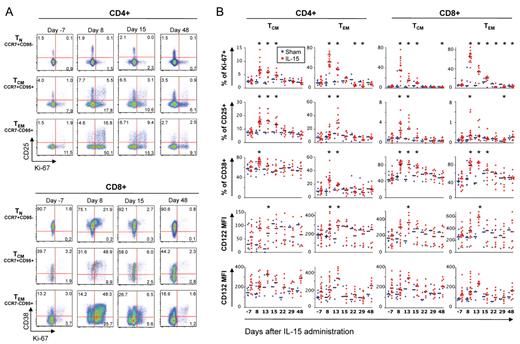 Figure 3. IL-15 treatment preferentially targets memory T cells and induces their proliferation and the expression of multiple activation markers. (A) Representative example of Ki-67, CD25 (only on CD4+ cells, top part of the figure), and CD38 (only on CD8+ cells, bottom part of the figure) expression in a RM receiving 50 μg/kg/d IL-15. Bulk CD4+ and CD8+ T cells were identified as in Figure 2C. Data for different subsets of T cells (TN, defined as CCR7+CD95−; central memory, TCM, as CCR7+CD95+; effector memory, TEM, as CCR7–CD95+) are shown for day −7 (pretreatment), 8, 15, and 48 after the first injection. Numbers in the plots indicate the percentage of cells belonging to each quadrant. (B) Percentage of TCM and TEM CD4+ and CD8+ T cells expressing Ki-67, CD25, and CD38 and mean fluorescence intensity (MFI) values of IL-15 receptor components (CD122 and CD132) in the same subsets during IL-15 therapy. Values for naive T cells are not shown, as little changes could be observed for these markers compared with pretreatment. Horizontal black, bold bars indicate the median. Values from single animals were overlayed and were depicted as blue (sham) or red (IL-15–treated) dots. *P < .05 for Wilcoxon rank test versus day −7.