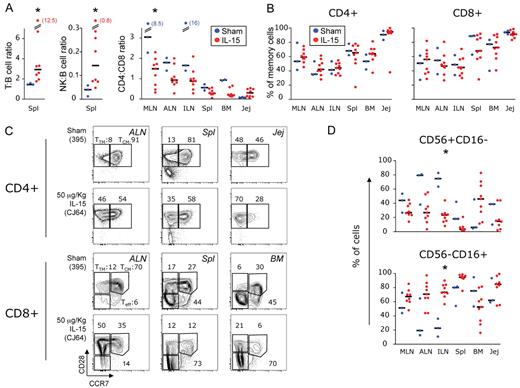 Figure 5. Accumulation of CD8+ T cells in peripheral tissues is not a consequence of local IL-15–induced expansion. (A) Frequency of T (CD3+) and total NK (either CD56+ or CD16+) cells relative to the frequency of B (CD20+) cells in the lymphocyte gate as observed in the spleen and (B) percentage of CD95+ memory CD4+ and CD8+ T cells in peripheral tissues at day 13 after treatment initiation. Data are expressed as in Figure 3B and tissue abbreviations are indicated as in “Isolation of MNCs from blood and tissues.” (C) Representative example of the frequency of TCM, TTM, and Teff CD4+ (left) and CD8+ (right) T cells in multiple tissues, as gated on the basis of CCR7 and CD28 expression in CD95+ cells. Animal 395 is shown as a control and animal CJ64 as IL-15–treated. *P < .05 after Wilcoxon rank test versus sham.