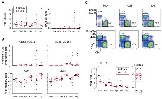 Figure 6. IL-15 treatment does not lead to long-lasting (day 48) accumulation of NK and memory T cells, but chronically alters the balance of CD4+ and CD8+ T cells. (A) Frequency of total T (CD3+) cells and NK (either CD56+ or CD16+) cells relative to the frequency of B (CD20+) cells in the lymphocyte gate and (B) percentage of CD56+CD16− NK cells, CD56−CD16+ NK cells, and CD95+ memory CD4+ and CD8+ T cells as found in different tissues at day 48 after treatment with IL-15. (C) Top, representative example of the percentage of the CD4+ and CD8+ cells inside the CD3+ gate in the MLN, ALN, and ILN at the same time point. Bottom, CD4:CD8 ratio as found in different tissues and in the PBMCs at day 48 after treatment with IL-15. Data in panels A through C were expressed as in Figure 3B. *P < .05 after Wilcoxon rank test versus sham.