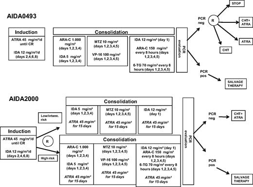 Figure 1. AIDA-0493 and AIDA-2000 protocol design. IDA indicates idarubicin; MTZ, mitoxantrone; VP-16, etoposide; ARA-C, cytarabine; 6-TG, 6-thioguanine; and CHT, chemotherapy (6-mercaptopurine + methotrexate).