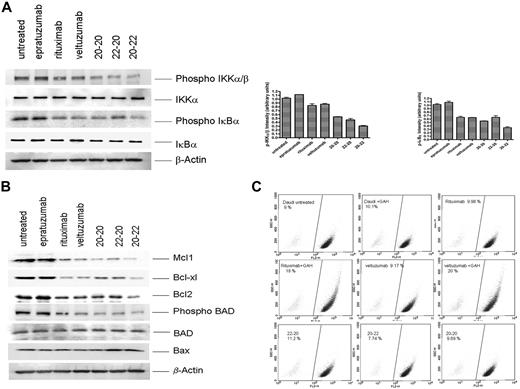 Figure 4. Effects observed in Daudi cells. (A) Selective proteins pertaining to the NF-κB pathway, (B) selective proteins pertaining to the Bcl-2 family, and (C) mitochondrial membrane depolarization.