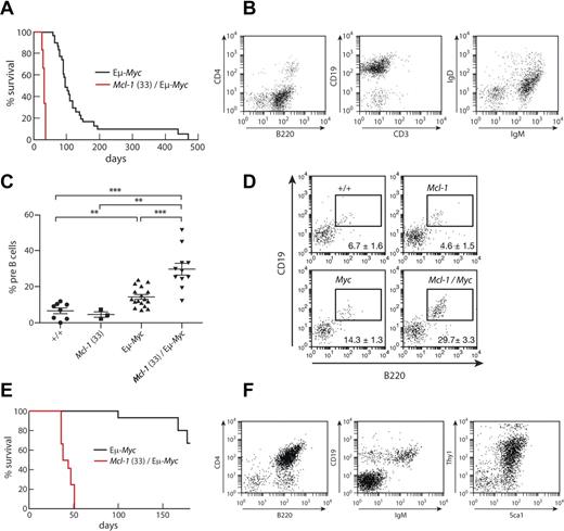 Figure 6. Mcl-1 synergizes with Myc in lymphomagenesis. (A) Kaplan-Meier plot of tumor-related deaths in Eμ-Myc/Mcl-1(33) mice (red, n = 6), median survival, 30.5 days and Eμ-Myc transgenic mice (black, n = 34), median survival, 94 days. Survival curves are significantly different (P < .0001). (B) Dot plot showing immunophenotype of a representative B-cell tumor from an Eμ-Myc/Mcl-1(33) mouse. (C) Graph of percentage pre-B cells (B220+ CD19+ IgM− IgD−) in E18 blood; genotypes as indicated. Blood was isolated from the jugular vein of E18 embryos and red cells depleted before staining with cell surface markers for flow cytometry. **P<.01 ; ***P<.001. (D) Dot plot examples of E18 white blood cell analysis. Numbers at bottom of quadrants indicate mean percentage pre-B cells (B220+ CD19+ IgM− IgD−) ± SEM (n = 8 WT; 3 VavP-Mcl-1(33); 17 Eμ-Myc; 11 VavP-Mcl-1/Eμ-Myc). (E) Kaplan-Meier plot of tumor-related deaths for lethally irradiated C57BL/6J mice reconstituted with 2 × 106 fetal liver cells (1-3 recipients per fetal liver) from Eμ-Myc/Mcl-1(33) mice (red, n = 5), 12 recipients, median survival, 41 days and Eμ-Myc mice (black, n = 7), 16 recipients. Survival curves are significantly different (P < .0001). (F) Dot plot showing immunophenotype of a representative stem/progenitor cell tumor arising after transplantation of Eμ-Myc/Mcl-1(33) fetal liver cells.