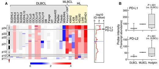 Figure 1. Chromosome 9p24.1 amplification and increased expression of PD-1 ligands in HL and MLBCL cell lines. (A left) Smoothed chromosome 9p gene copy number estimates for each DLBCL, MLBCL, and HL cell line. The color scale ranges from blue (deletion) to red (amplification). (Right) GISTIC Q values (for all cell lines) for the 9p24.1 amplification that includes the PD-L1/PD-L2 loci. (B) PD-L1 and PD-L2 transcript abundance in the DLBCL, MLBCL, and HL cell lines was assessed by transcriptional profiling and represented in box plots.