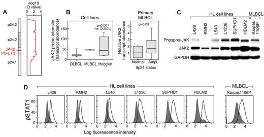 Figure 5. JAK2 amplification, expression, and activity. (A) GISTIC analysis (for all cell lines) of 9p24.1, PD-L1 and PD-L2, in the amplification peak and JAK2 in the broader amplification region. (B) JAK2 transcript abundance in HL and DLBCL cell lines and the single MLBCL cell line (left) and primary MLBCLs with 9p24.1 (PD-L1) amplification or normal copy number (right). (C) Western blot analysis of phospho- and total JAK2 in HL cell lines arranged according to 9p24.1 copy number (normal to high, left to right, as in Figure 2) and the single MLBCL cell line. (D) Intracellular phosphoflow cytometric analysis of phosphorylated STAT1 in HL and MLBCL cell lines in panel C.