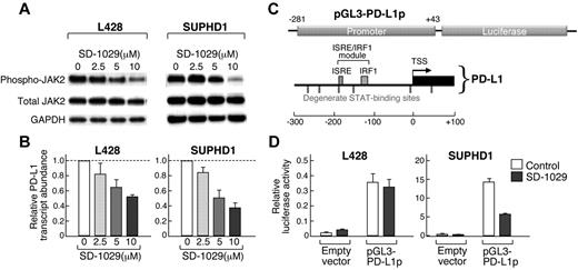 Figure 6. Chemical inhibition of JAK2 decreases PD-1 ligand transcription. (A) Western analysis of phosphoJAK2 in HL cell lines (L428 and SUPHD1) treated with the increasing doses (2.5-10μm) of the specific JAK2 inhibitor, SD-1029. (B) RT-qPCR analysis of PD-L1 transcript abundance in the cell lines treated with SD-1029. Data are means (± SD) of triplicate measurements from the representative experiment shown in panel A. (C) The PD-L1 promoter regulatory module. STAT-responsive (ISRE) element and additional degenerate STAT-binding sites are indicated. This region was cloned into a pGL-luciferase vector (pGL3-PD-L1p). (D) Analysis of pGL3-PD-L1p luciferase activity in L428 and SUPHD1 HL cells treated with SD-1029 or vehicle. Data are means (± SD) of triplicate measurements from a representative experiment. Experiments in panels B and D were performed 3 times.