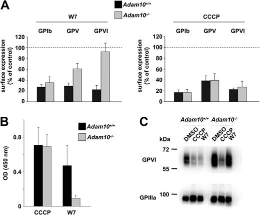 Figure 2. W7-induced GPVI shedding is abrogated in Adam10−/− platelets. (A) Washed platelets were treated with the indicated reagents (W7: 150μM, 1 hour at 37°C; CCCP: 100μM, 1 hour at 37°C), stained with a fluorophore-labeled antibody recognizing the indicated glycoproteins, and analyzed on a FACSCalibur. (B) Washed platelets were incubated with biotinylated JAQ1 and then treated with CCCP (100μM) or W7 (150 μM) for 1 hour at 37°C. Supernatants were applied on a JAQ3-coated ELISA plate, and GPVI-JAQ1biotin complexes were detected with HRP-conjugated streptavidin. (C) Western blot detection of intact GPVI (JAQ1-HRP) in CCCP (100μM), W7 (150μM), or vehicle-treated platelets. GPIIIa was used as a loading control. Results of experiments in panels A and B are mean ± SD (n = 4 mice per group, representative for 3 individual experiments).