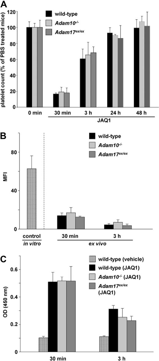 Figure 4. GPVI is cleaved in Adam10−/− and Adam17ex/ex mice in vivo. Control and mutant mice were injected intravenously with 100 μg of biotinylated anti-GPVI (JAQ1) antibody. Flow cytometric analysis of platelet count (A) and GPVI surface expression (B; indirectly: streptavidin-FITC) was performed. As a positive control in (B), wild-type platelets from untreated mice were incubated with 10 μg/mL biotinylated-JAQ1 in vitro and stained with streptavidin-FITC. (C) Mice were injected with 100 μg biotinylated-JAQ1, and plasma was collected at the indicated time points. Levels of GPVI-JAQ1biotin complexes in plasma were determined by ELISA. Results of all experiments are mean ± SD (n = 4 mice per group, representative for 3 individual experiments).
