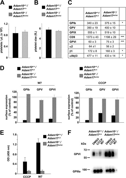 Figure 5. GPVI shedding in Adam10−/−/Adam17ex/ex platelets in vitro. Platelet count (A) and size (B) in Adam10−/−/Adam17ex/ex BMc and control mice. (C) Surface protein expression was determined by flow cytometry. Platelets were stained with the indicated fluorophore-labeled antibodies for 15 minutes and analyzed directly. *P < .05; ***P < .001). (D) Washed platelets were treated with the indicated reagents (W7: 150μM, 1 hour at 37°C; CCCP: 100μM, 1 hour at 37°C), stained with a fluorophore-labeled antibody recognizing the indicated glycoprotein, and analyzed in a flow cytometer. (E) Washed platelets were incubated with the biotinylated anti-GPVI antibody, JAQ1, and then treated with CCCP (100μM) or W7 (150μM) for 1 hour at 37°C. Supernatant was collected and applied on a JAQ3-coated ELISA plate and incubated with HRP-conjugated streptavidin. (F) Washed platelets were treated with CCCP (100μM) or W7 (150μM) for 1 hour at 37°C and immediately lysed with 1% Nonidet P-40. The lysates were separated on a SDS-PAGE and incubated with an HRP-labeled anti-GPVI antibody. GPIIIa was used as a loading control. Results of experiments (A-E) are mean ± SD (n = 4 mice per group, representative for 3 individual experiments).