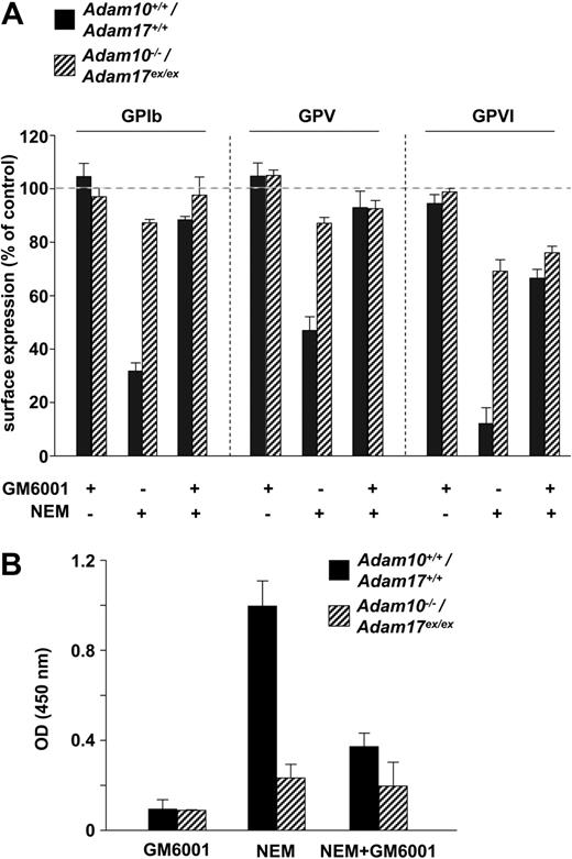 Figure 7. Evidence for a third GPVI-cleaving protease in platelets that is insensitive to GM6001 inhibition. (A) Washed platelets were treated with NEM (2mM, 20 minutes, 37°C) in the presence or absence of GM6001 (100μM, 30 minutes, 37°C), stained with a fluorophore-labeled antibody recognizing the indicated glycoprotein, and analyzed in a flow cytometer. (B) Washed platelets were incubated with the biotinylated anti-GPVI antibody, JAQ1, and then treated with NEM (2mM, 20 minutes, 37°C) in the presence or absence of GM6001 (preincubation: 100μM, 30 minutes, 37°C). Supernatant was collected and applied on a JAQ3-coated ELISA plate and incubated with HRP-conjugated streptavidin. Results of experiments are mean ± SD (n = 4 mice per group, representative for 3 individual experiments).