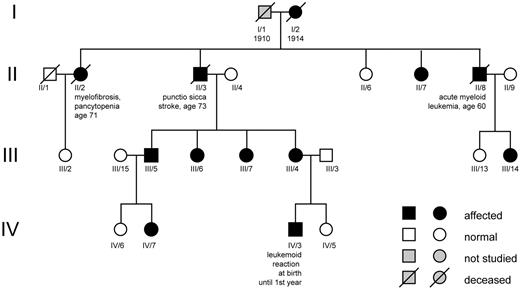 Figure 1. Pedigree of family with hereditary thrombocytosis. Roman numerals reflect generation; Arabic numbers reflect individuals per generation.