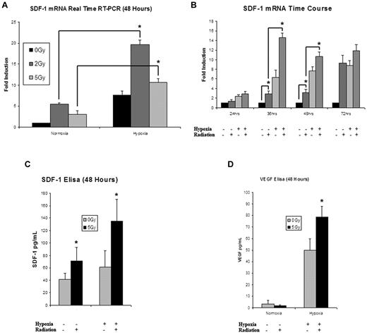 Figure 3. An analysis of the effects of IR on cytokine mRNA and protein expression. (A) SDF-1 mRNA was significantly up-regulated in ECs exposed to radiation in both normoxic and hypoxic conditions (n = 4). (B) When examined over a time course ranging from 24 to 72 hours, 5 Gy IR significantly elevated SDF-1 mRNA expression over nonirradiated controls. The combination of 5 Gy IR and hypoxia resulted in the greatest up-regulation of SDF-1 mRNA expression at all time points. Maximal expression occurred at the 36-hour time point (n = 4). (C) SDF-1 protein expression was examined at 48 hours. Maximal expression was again seen with the combination of hypoxia and 5 Gy IR (n = 6). (D) To look at the effects of other proangiogenic HIF target genes, VEGF protein expression was examined at 48 hours showing maximal up-regulation with the combination of hypoxia and 5 Gy IR (n = 6).