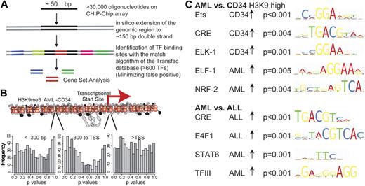 Figure 3. Association of histone modifications with transcription factor binding sites of different specimen groups. (A) Association of transcription factor binding sites with histone modification changes was analyzed. Overall, 150 bp enclosing each oligonucleotide was screened with high stringency for approximately 600 bona fide transcription factor binding sites. GSA was used to identify associations between transcription factor binding sites and histone modification changes. (B) GSA analyses were performed independently for regions with different distances to the TSSs. Approximately 600 bona fide transcription factor binding sites (TRANSFAC database) were analyzed by GSA in the H3K9me3 dataset of AML versus CD34+ in different promoter regions, and the number of resulting P values in each range was plotted. A shift to lower P values indicates an association between the presence of specific transcription factor binding sites and changes in H3K9me3 levels in the core promoter region. (C) Among the overrepresented transcription factor binding sites, ETS and CRE binding elements were most prominently altered in different datasets. AML specimens consistently showed decreased levels of H3K9me3 at binding sites for most ETS factors and CREB.