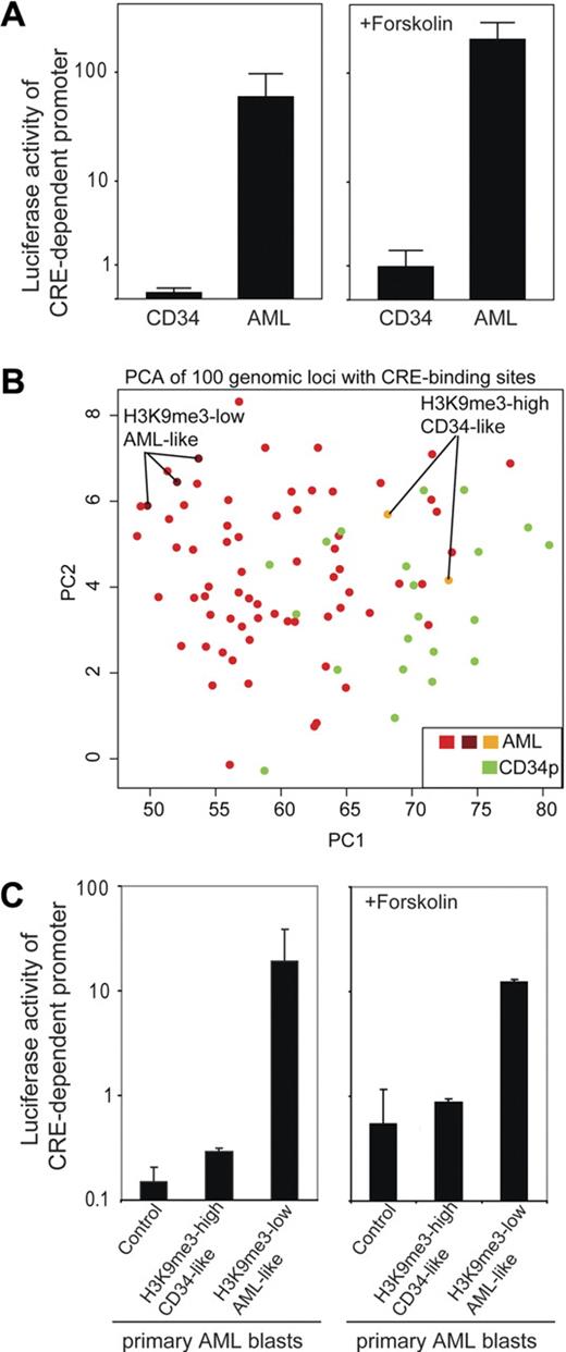 Figure 4. Increased CREB-dependent promoter activity in AML blasts in vivo is associated with H3K9me3 levels at CRE-binding sites. (A) Primary CD34+ (n = 3) and AML blasts (n = 10) were transiently transfected with a CRE-driven reporter gene construct (or empty vector as a control; data not shown) and cultured for 6 hours before luciferase activity was determined. Transfection efficiency was normalized to renilla luciferase activity. To analyze the effect of stimulation of the cAMP pathway, forskolin was added after transfection and samples were analyzed accordingly (diagram on the right). In the absence (P < .01) and presence (P < .01) of forskolin, CRE-driven reporter activity was significantly higher in AML blasts. Indicated are mean ± SEM (Mann-Whitney U test). (B) PCA is shown that groups AML and CD34+ progenitor cells according to their H3K9me3 levels at genomic loci with CREs. Indicated are also AML specimens with a more “CD34-like” higher H3K9me3 level at CRE sites and those with “true AML-like” lower H3K9me3 levels at CRE sites. (C) Luciferase reporter assays were performed to identify differences in CRE-driven promoter activities within AML samples. AML samples were selected because of their H3K9me signature either close to the CD34+ pattern or to the AML pattern and analyzed for CRE-dependent promoter activity in transient transfection assays. The samples used for analysis are indicated in Figure 4B. “Control” depicts AML blasts (with AML-like H3K9me3 level) transfected with a promoter-less luciferase construct. AML patients with a CD34-like H3K9me3 pattern showed only minimal CREB-dependent promoter activity, whereas AML blasts with an “AML-like” H3K9me3 pattern showed more than 60-fold higher CREB-dependent promoter activity. Similar analyses carried out in the presence of forskolin to stimulate the cAMP-response pathway are indicated on the right. Indicated are mean ± SD.