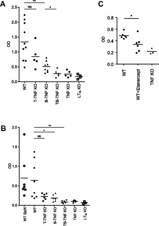 Figure 3. Inactivation of TNF production by both B and T cells results in impaired humoral response to T-cell–dependent antigen. (A) Mice were immunized i.p. with 108 SRBCs. Sera were collected on day 21, and anti-SRBC response was measured by ELISA. Symbols indicate individual mice. Mean values are indicated. IgG response is reduced both in B-TNF and T-TNF KO mice, however not as severe as in T,B-TNF and TNF KO mice. Symbols indicate individual mice. One of 3 experiments with similar results is shown (n = 5-8 mice per group). (B) Mice were immunized i.f.p. with 108 SRBCs and anti-SRBC IgG titers were analyzed on day 21. SplX-WT mice were splenectomized 10 days before immunization. LTα KO mice are included as control. Average is indicated. Symbols indicate individual mice. One of 2 independent experiments with similar results is shown (n = 5-8 mice per group); *P < .05, **P < .01, NS, not significant. (C) Administration of TNF blocker inhibits humoral immune response to T-cell–dependent antigen. Mice were immunized i.p. with 108 SRBCs and specific anti-IgG response was measured at day 21. Etanercept (30 mg/kg) was injected twice per week starting from day −6. One of 2 independent experiments with similar results is shown. Each symbol represent individual mouse. Average is indicated; *P < .05.