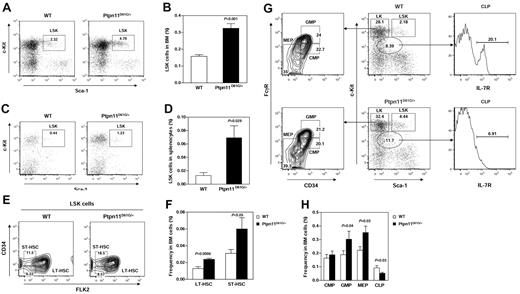 Figure 1. Aberrant hematopoietic cell development in Ptpn11D61G/+ mice. (A-B) BM cells freshly harvested from femurs and tibias (both hind limbs) from 5- to 7-month-old Ptpn11D61G/+ and WT littermates (n = 10 per group) were assayed by multiparameter flow cytometric analysis to determine frequencies of hematopoietic cell populations of various stages and lineages. The cells were stained with antibodies against lineage markers, c-Kit, Sca-1, CD34, Flk2, CD16/32, and IL-7R (CD127). The proportion of BM cells corresponding to the HSC-containing LSK (Lineage−Sca-1+c-Kit+) cell population was quantified. (C-D) Frequencies of LSK cells in spleens of Ptpn11D61G/+ (n = 5) and WT (n = 4) littermates were determined as above. (E) BM LSK cells were sub-fractioned according to CD34 and Flk2 expression to yield phenotypic assessments of LT-HSC (LSK, Flk2−CD34−) and ST-HSC (LSK, Flk2−CD34+) fractions. (G) More differentiated BM LK cell (Lineage−c-Kit+Sca-1−) population was sub-fractioned based on CD16/32 and CD34 expression to identify CMP, GMP, and MEP progenitors (left panel). CLP progenitors were identified by gating L−KlowSlow (Lineage−c-Kit low Sca-1 low) cells followed by assessing CD127 expression (right panel). (F,H) Frequencies of LT-HSC, ST-HSC, CMP, GMP, MEP, and CLP populations in BM cells were quantified (n = 10 per group).