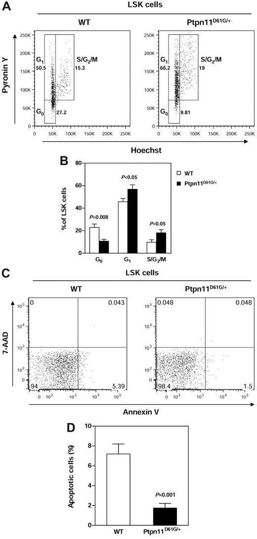 Figure 2. Enhanced cycling and decreased apoptosis in Ptpn11D61G/+ LSK cells. (A) BM cells freshly harvested from 5- to 7-month-old Ptpn11D61G/+ (n = 6) and WT (n = 5) littermates were assayed by multiparameter flow cytometric analysis to determine cell-cycle status of HSC-enriched LSK cells as described in “Methods.” (B) Percentages of LSK cells in G0, G1, and S/G2/M phases identified based on Pyronin Y and Hoechst staining profiles were determined. (C-D) BM cells from Ptpn11D61G/+ and WT littermates (n = 5 per group) were analyzed by multiparameter flow cytometric analysis to determine apoptosis (annexin V positive cells) in the LSK population as described in “Apoptosis and cell-cycle analysis.”